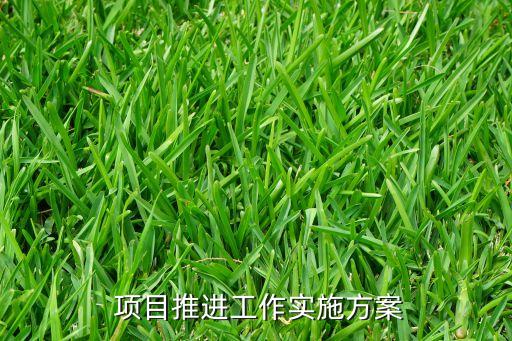  項(xiàng)目推進(jìn)工作實(shí)施方案
