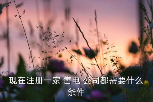 現在注冊一家 售電 公司都需要什么條件
