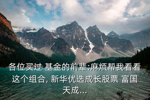 各位買(mǎi)過(guò) 基金的前輩:麻煩幫我看看這個(gè)組合, 新華優(yōu)選成長(zhǎng)股票 富國(guó)天成...