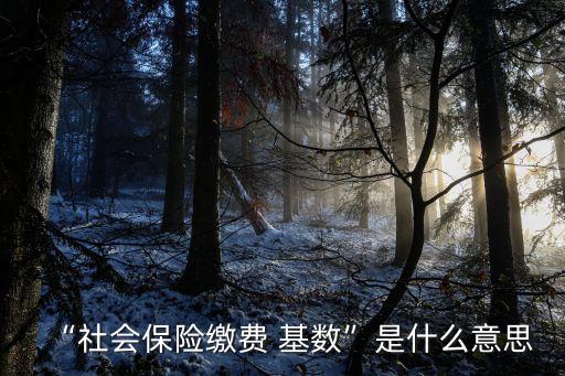 “社會保險(xiǎn)繳費(fèi) 基數(shù)”是什么意思