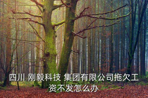 剛毅集團什么時候上市,螞蟻集團什么時候重新上市