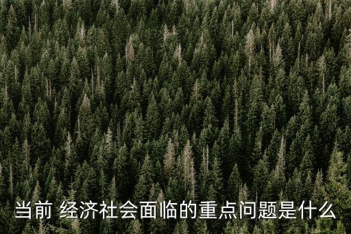當(dāng)前 經(jīng)濟(jì)社會面臨的重點問題是什么