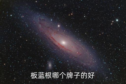 板藍(lán)根哪個牌子的好