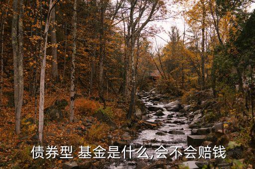  債券型 基金是什么,會(huì)不會(huì)賠錢(qián)