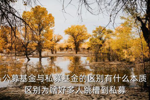 公募基金與私募基金的區(qū)別有什么本質區(qū)別為啥好多人跳槽到私募