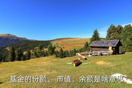  基金的份額、 市值、余額是啥意思