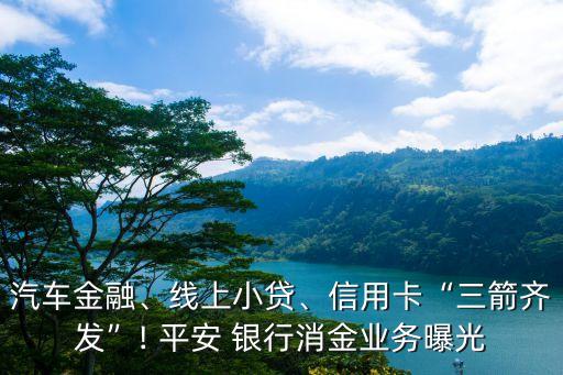 汽車金融、線上小貸、信用卡“三箭齊發(fā)”! 平安 銀行消金業(yè)務(wù)曝光