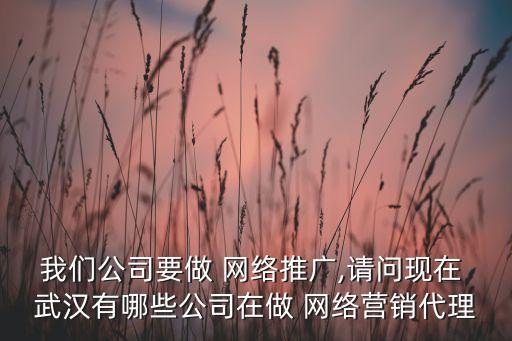 我們公司要做 網(wǎng)絡(luò)推廣,請(qǐng)問(wèn)現(xiàn)在 武漢有哪些公司在做 網(wǎng)絡(luò)營(yíng)銷(xiāo)代理