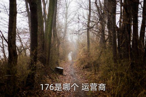 中國(guó)聯(lián)通歐洲運(yùn)營(yíng)有限公司