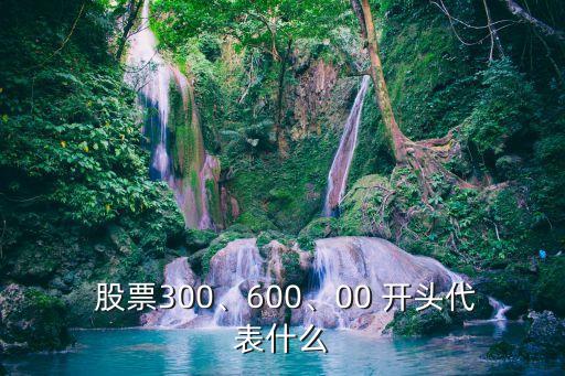  股票300、600、00 開頭代表什么