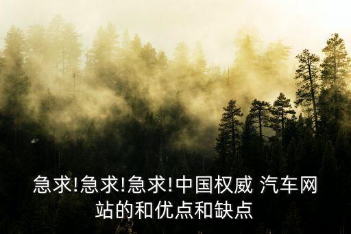 急求!急求!急求!中國權(quán)威 汽車網(wǎng)站的和優(yōu)點和缺點