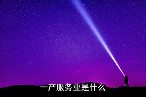 一產(chǎn)服務業(yè)是什么