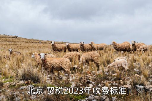  北京 契稅2023年收費標(biāo)準(zhǔn)