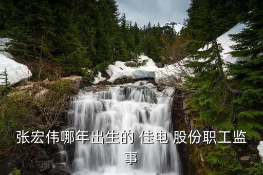 哈電集團與佳電股份有關系嗎