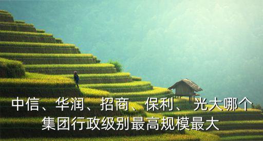 中信、華潤(rùn)、招商、保利、 光大哪個(gè)集團(tuán)行政級(jí)別最高規(guī)模最大