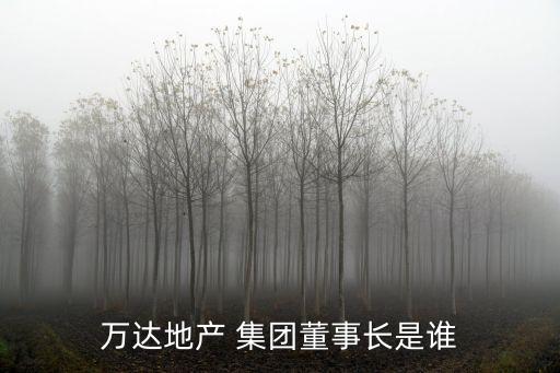 萬達(dá)地產(chǎn) 集團董事長是誰