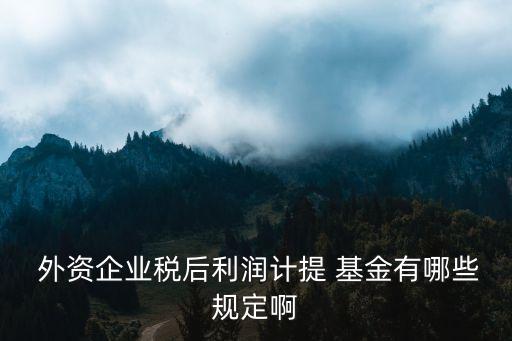  外資企業(yè)稅后利潤計提 基金有哪些規(guī)定啊