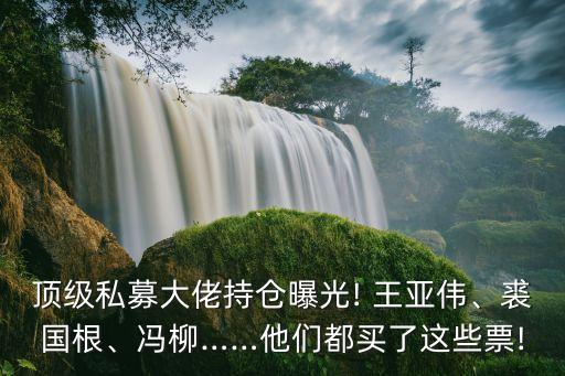 頂級私募大佬持倉曝光! 王亞偉、裘國根、馮柳……他們都買了這些票!