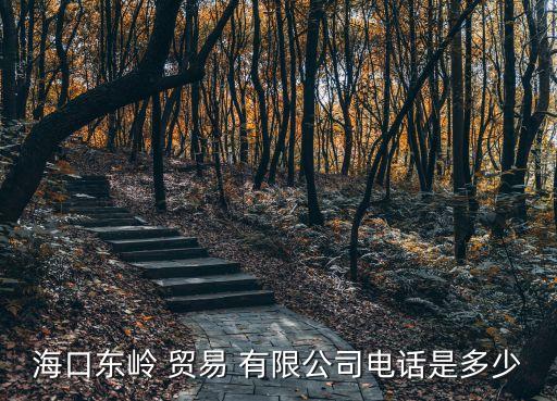 海口東嶺 貿(mào)易 有限公司電話(huà)是多少