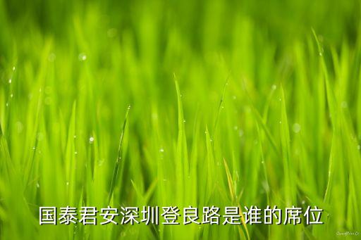 2011中國國際金融公司,世界銀行國際金融公司