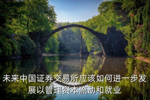 未來中國證券交易所應(yīng)該如何進(jìn)一步發(fā)展以管理資本流動和就業(yè)