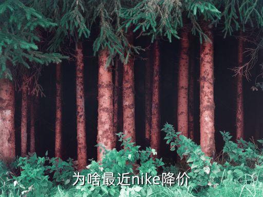 為啥最近nike降價