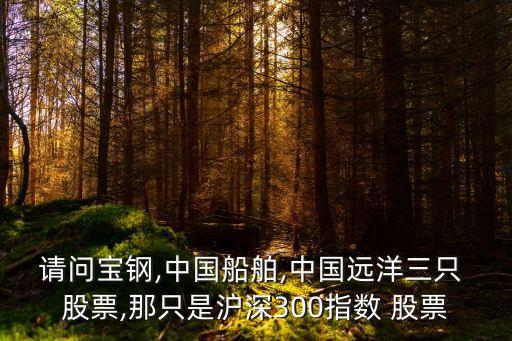 請(qǐng)問寶鋼,中國船舶,中國遠(yuǎn)洋三只 股票,那只是滬深300指數(shù) 股票