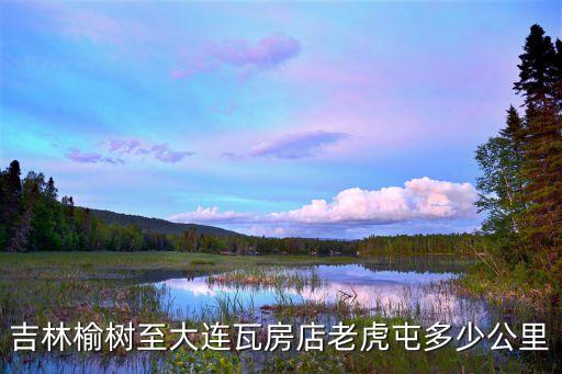 長春大商集團,大商集團旗下商場
