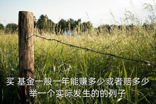買(mǎi) 基金一般一年能賺多少或者賠多少舉一個(gè)實(shí)際發(fā)生的的列子