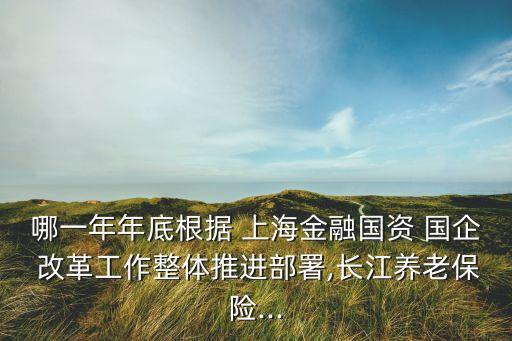 哪一年年底根據(jù) 上海金融國資 國企 改革工作整體推進(jìn)部署,長江養(yǎng)老保險(xiǎn)...