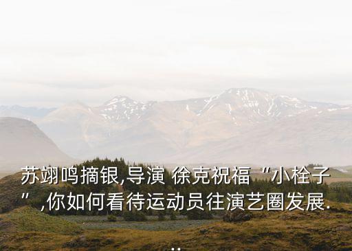 蘇翊鳴摘銀,導演 徐克祝?！靶∷ㄗ印?你如何看待運動員往演藝圈發(fā)展...
