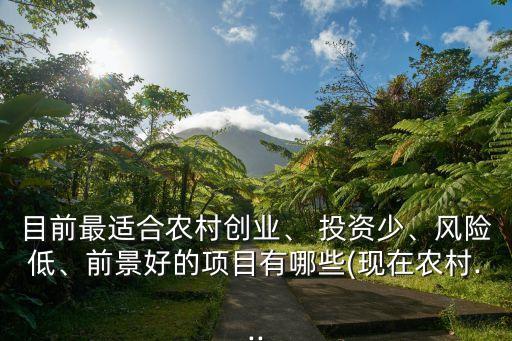 目前最適合農(nóng)村創(chuàng)業(yè)、 投資少、風(fēng)險(xiǎn)低、前景好的項(xiàng)目有哪些(現(xiàn)在農(nóng)村...