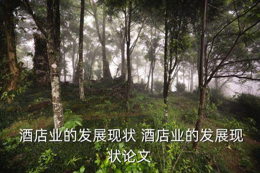 希爾頓酒店集團財務(wù)報表