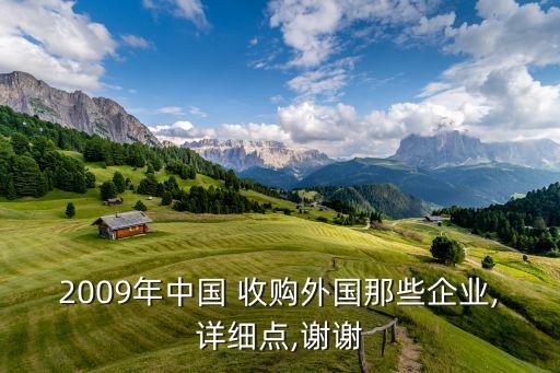 2009年中國 收購?fù)鈬切┢髽I(yè),詳細點,謝謝