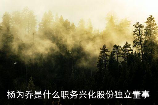楊為喬是什么職務興化股份獨立董事