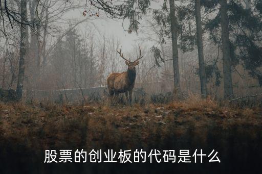 100683是什么股票,艾櫻集團股票100683
