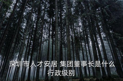  深圳市人才安居 集團董事長是什么行政級別