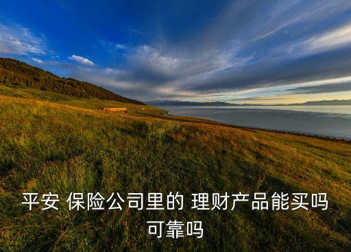 保險(xiǎn)公司的理財(cái)