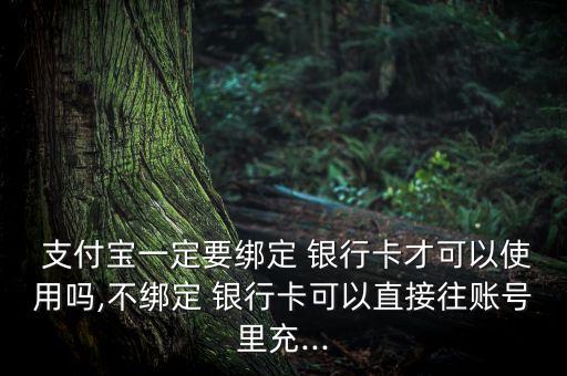  支付寶一定要綁定 銀行卡才可以使用嗎,不綁定 銀行卡可以直接往賬號里充...
