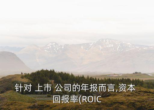 針對 上市 公司的年報(bào)而言,資本 回報(bào)率(ROIC