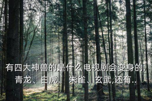 有四大神獸的是什么電視劇會變身的,青龍、白虎、 朱雀、玄武,還有...