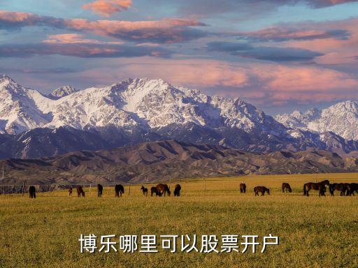 博樂(lè)哪里可以股票開(kāi)戶(hù)