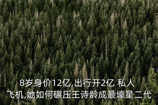 8歲身價(jià)12億,出行開2億 私人 飛機(jī),她如何碾壓王詩齡成最壕星二代