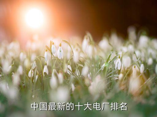 ?；涬娏ν顿Y