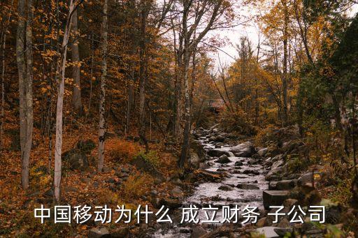 中國(guó)移動(dòng)為什么 成立財(cái)務(wù) 子公司