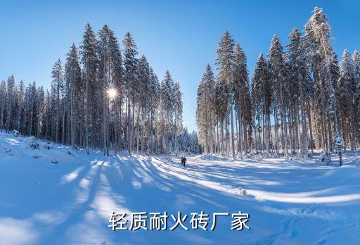 輕質(zhì)耐火磚廠(chǎng)家