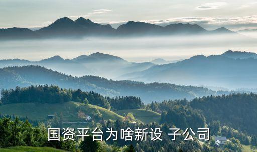 國(guó)資平臺(tái)為啥新設(shè) 子公司