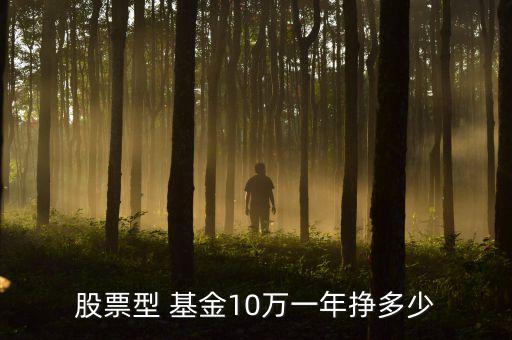 股票型 基金10萬(wàn)一年掙多少