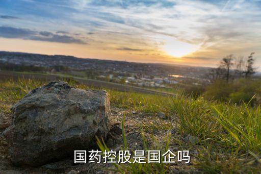  國(guó)藥控股是國(guó)企嗎