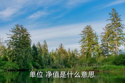 000696基金凈值查詢(xún)今天,匯添富000696基金凈值